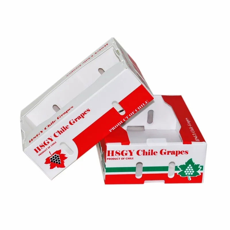 普通紙箱容易破損?泡沫箱太占空間?怎么解決果蔬海鮮物流運輸問題